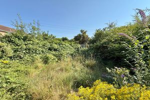 Southerly Rear Garden- click for photo gallery